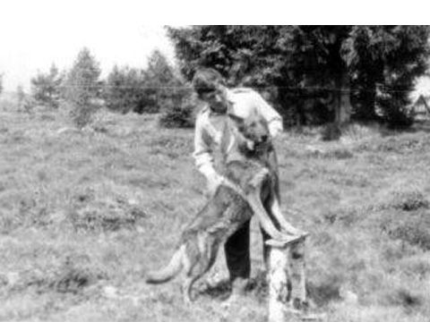 Foto 17